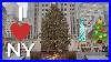 New-York-City-Vlog-Part-2-4-Days-In-Nyc-Christmas-In-Nyc-Winter-In-New-York-01-pnas